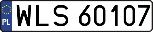 WLS60107