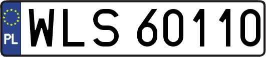 WLS60110