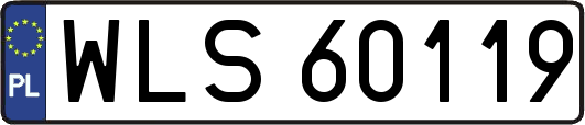WLS60119