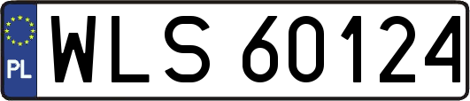 WLS60124