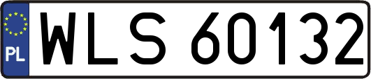 WLS60132