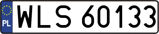 WLS60133