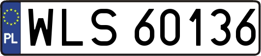 WLS60136