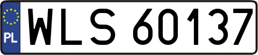 WLS60137