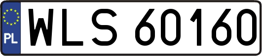 WLS60160