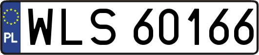 WLS60166