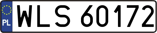 WLS60172