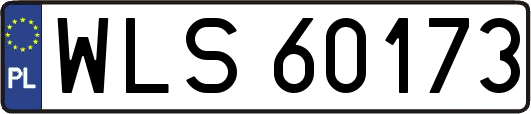 WLS60173