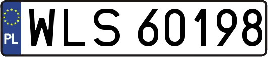 WLS60198
