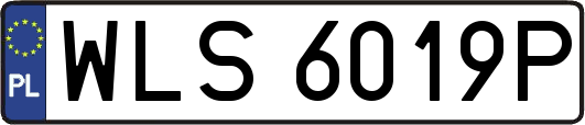 WLS6019P