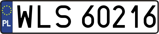 WLS60216