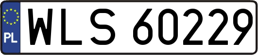 WLS60229