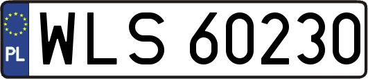WLS60230