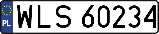 WLS60234