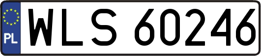 WLS60246