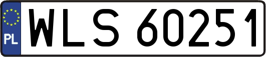 WLS60251
