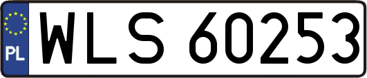 WLS60253