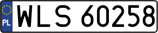 WLS60258
