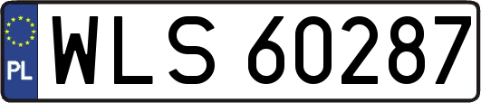 WLS60287