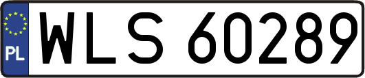 WLS60289