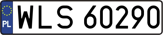 WLS60290