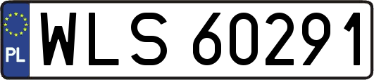 WLS60291