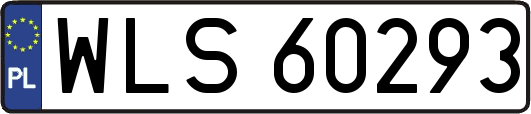 WLS60293