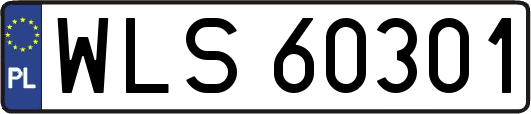WLS60301