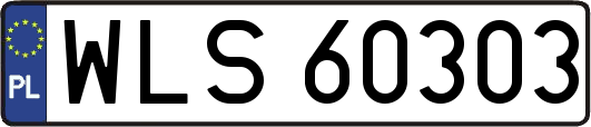WLS60303