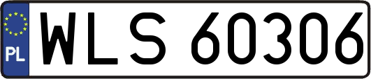 WLS60306