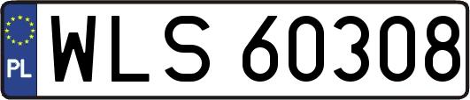 WLS60308