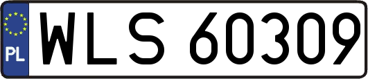 WLS60309