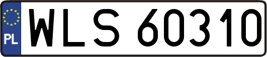 WLS60310