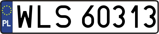 WLS60313