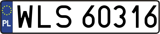 WLS60316