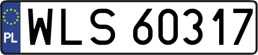 WLS60317
