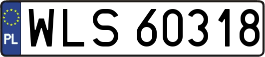 WLS60318