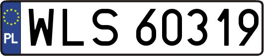WLS60319