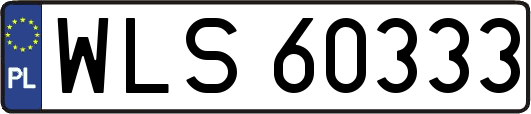 WLS60333