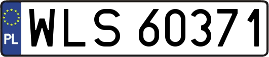 WLS60371
