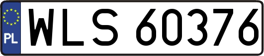 WLS60376