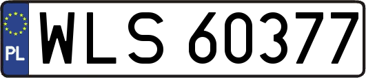 WLS60377