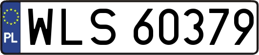 WLS60379