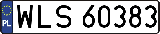 WLS60383