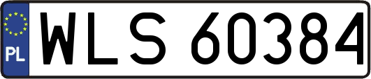 WLS60384