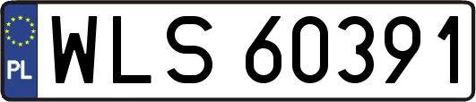 WLS60391