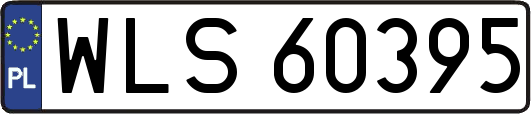 WLS60395