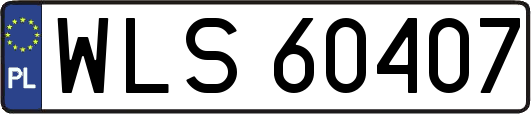WLS60407