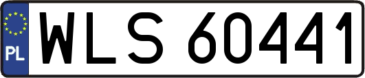 WLS60441