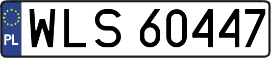 WLS60447